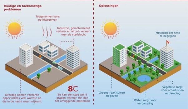 Oplossingen voor het stedelijk hitte-eilandeffect. Bron: Wageningen University &amp; Research