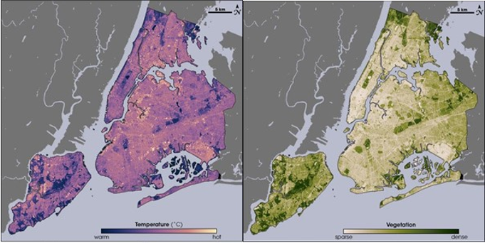 In de linker figuur ziet u de temperatuur en in de rechter figuur de vegetatiekaart van New York. Op plaatsen met weinig vegetatie is de temperatuur gemiddeld hoger. Bron: NASA via Wikimedia Commons